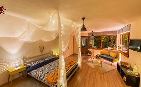 Dragonfly Studio With Garden
