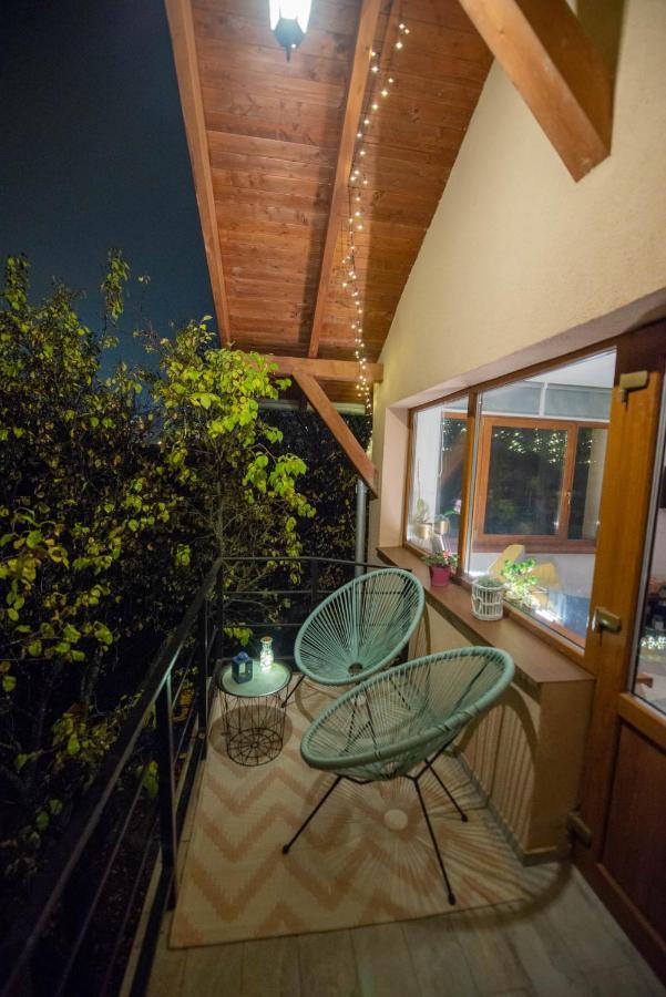 Dragonfly Studio With Garden Braşov Esterno foto