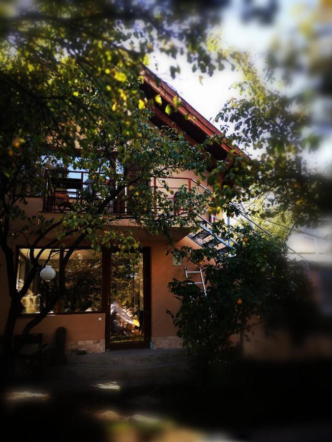 Dragonfly Studio With Garden Braşov Esterno foto